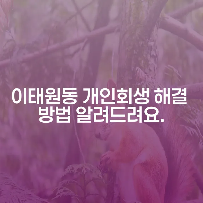 이태원동 개인회생 해결 방법 알려드려요.